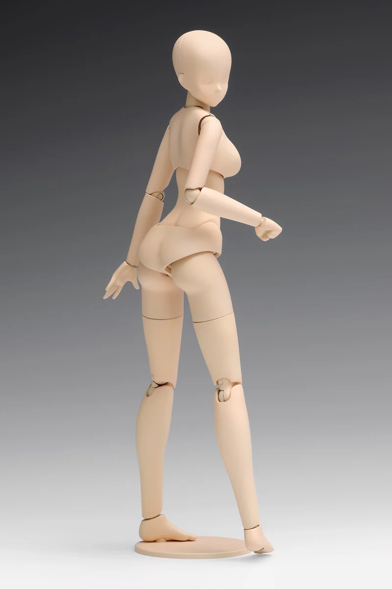 1/12 Movable Body Female Type [Standard] Model Kit - Image 3