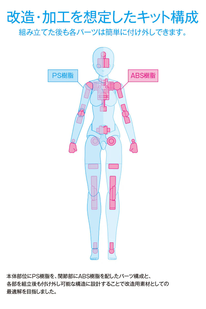 1/12 Movable Body Female Type [Ver.C] Model Kit - Image 10
