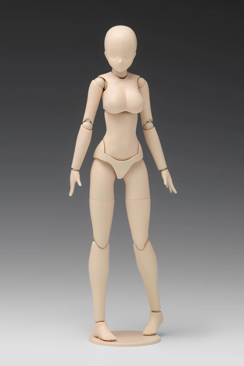 1/12 Movable Body Female Type [Ver.C] Model Kit - Image 6