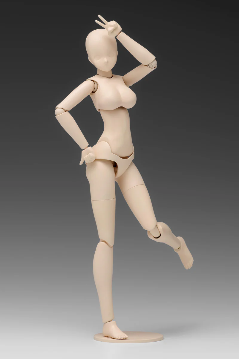1/12 Movable Body Female Type [Ver.C] Model Kit - Image 8