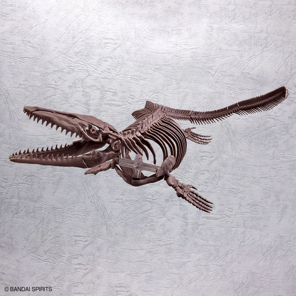 1/32 Imaginary Skeleton Mosasaurus - Image 12