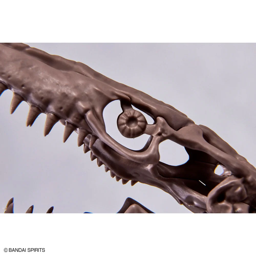 1/32 Imaginary Skeleton Mosasaurus - Image 8