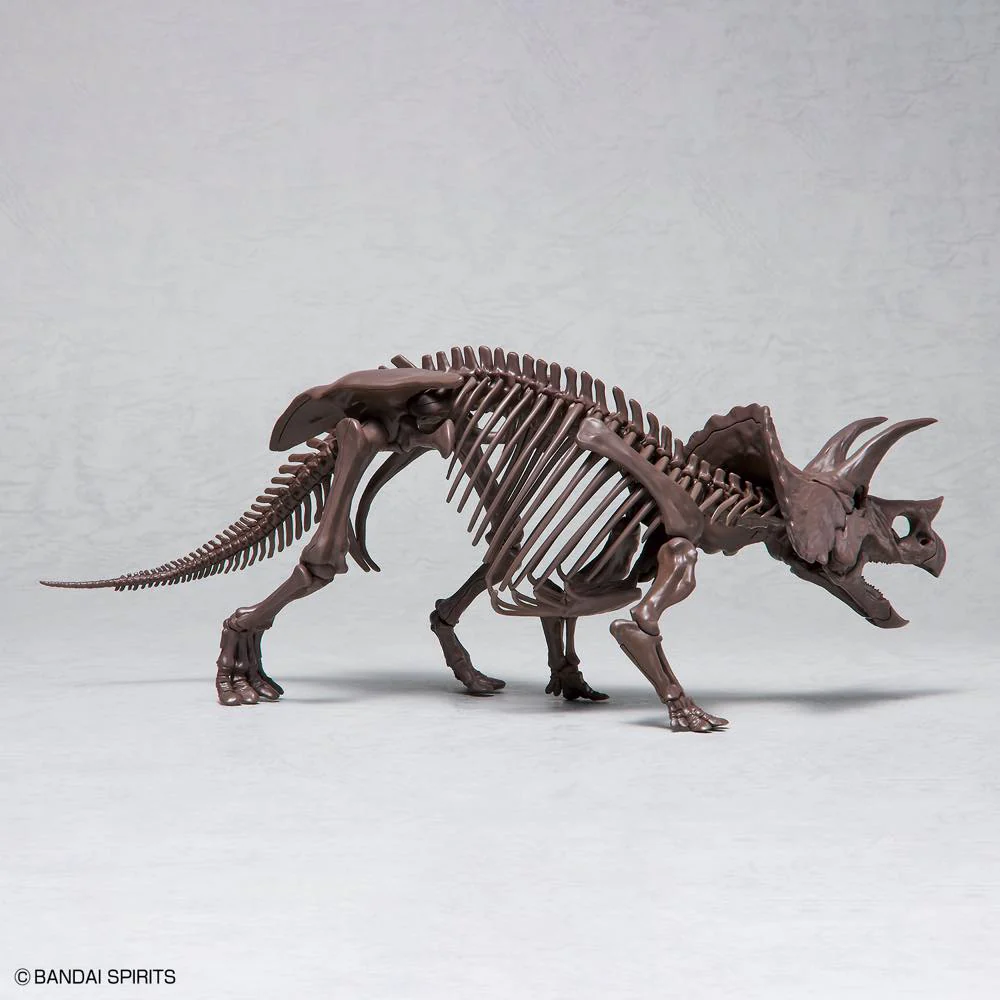 1/32 Imaginary Skeleton Triceratops - Image 10