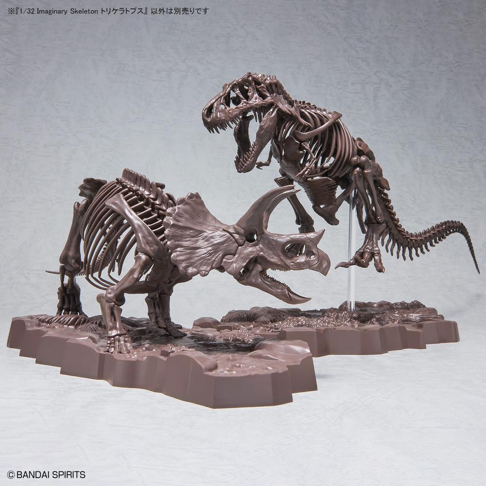 1/32 Imaginary Skeleton Triceratops - Image 11