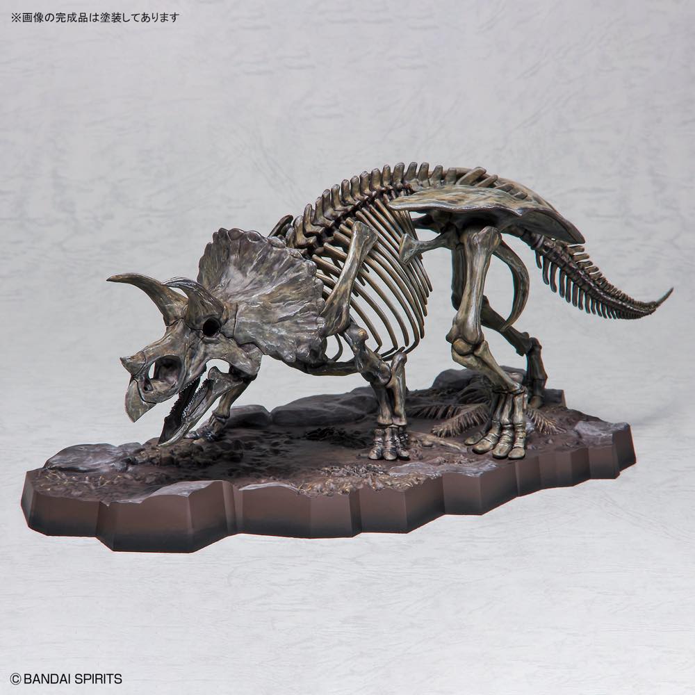 1/32 Imaginary Skeleton Triceratops - Image 12