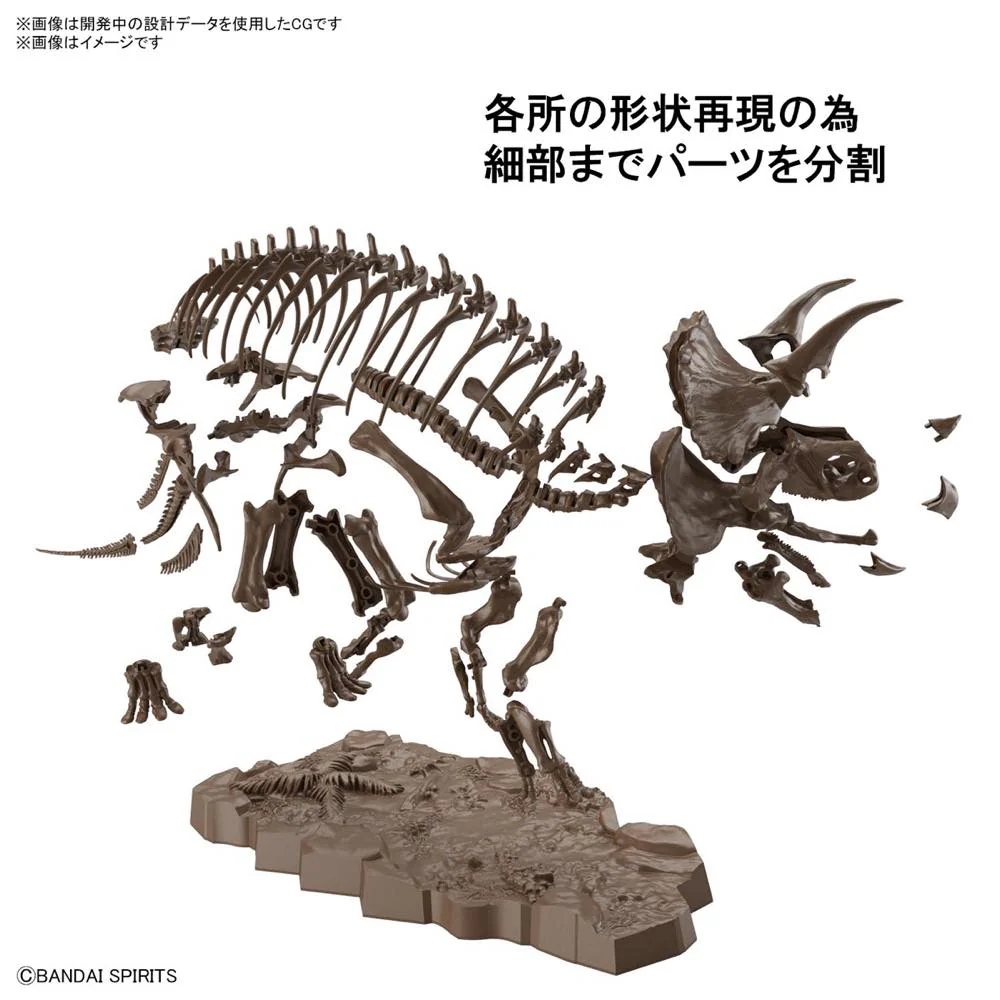 1/32 Imaginary Skeleton Triceratops - Image 13