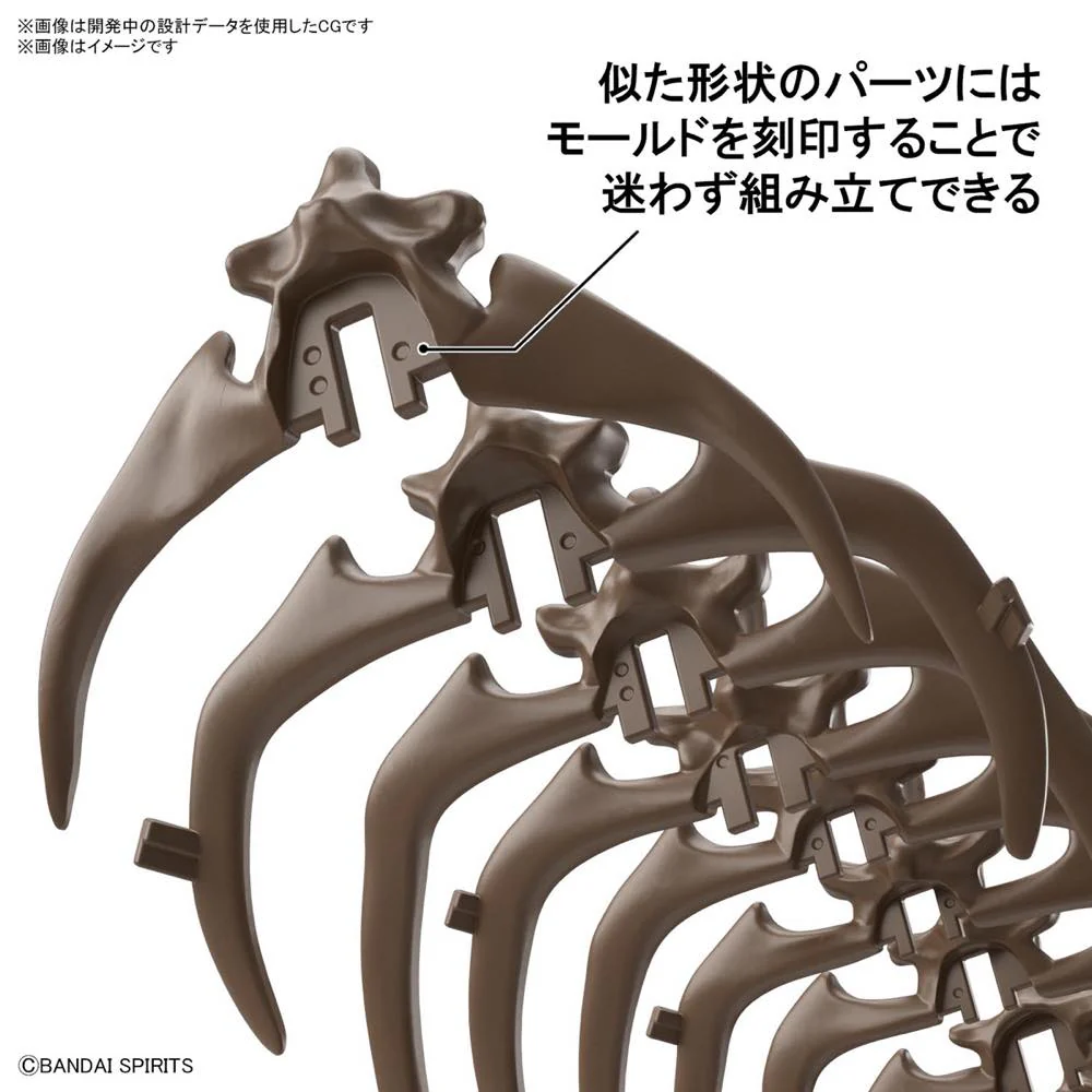 1/32 Imaginary Skeleton Triceratops - Image 14