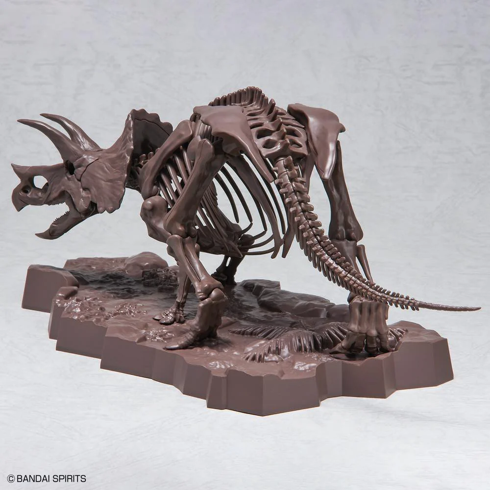 1/32 Imaginary Skeleton Triceratops - Image 3