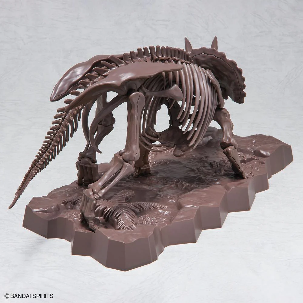 1/32 Imaginary Skeleton Triceratops - Image 4