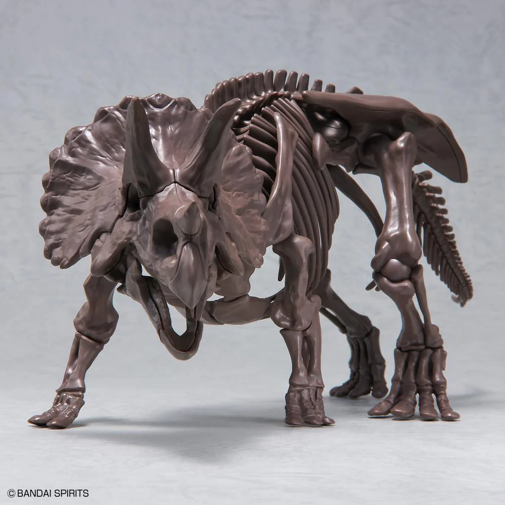 1/32 Imaginary Skeleton Triceratops - Image 6