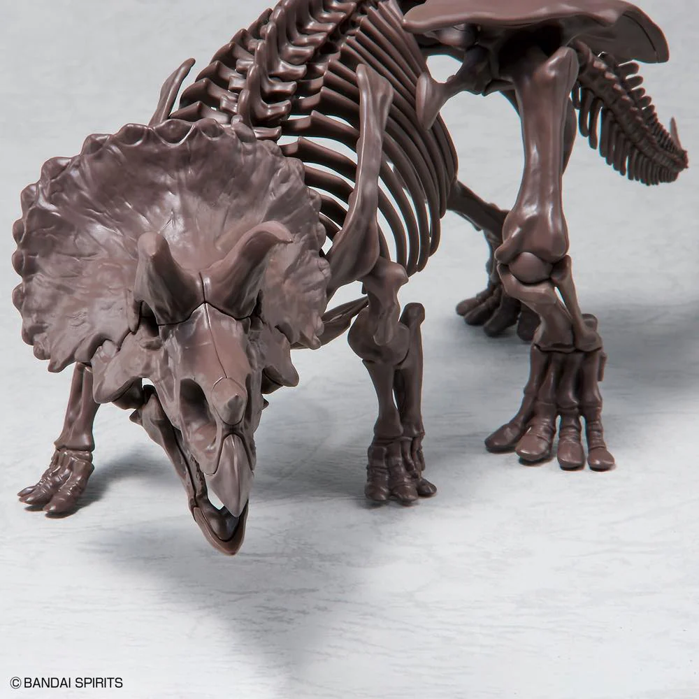 1/32 Imaginary Skeleton Triceratops - Image 7