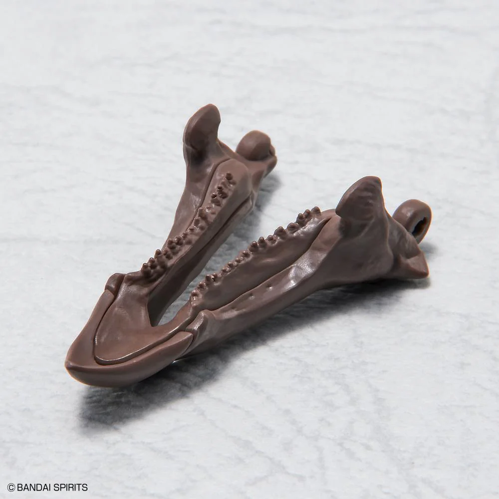 1/32 Imaginary Skeleton Triceratops - Image 8