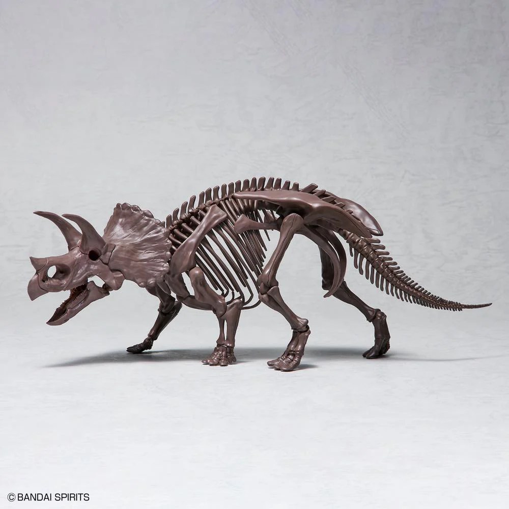 1/32 Imaginary Skeleton Triceratops - Image 9