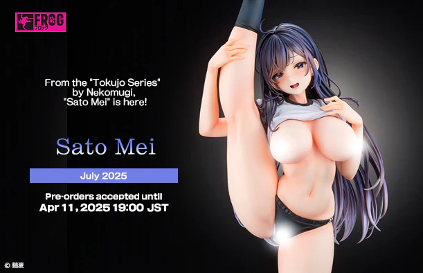 1/5 Sato Mei (Tokujo Series) - Image 16