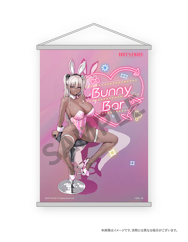 1/6 Downer Bunny (Illustration by Miyamoto Issa) - Image 35