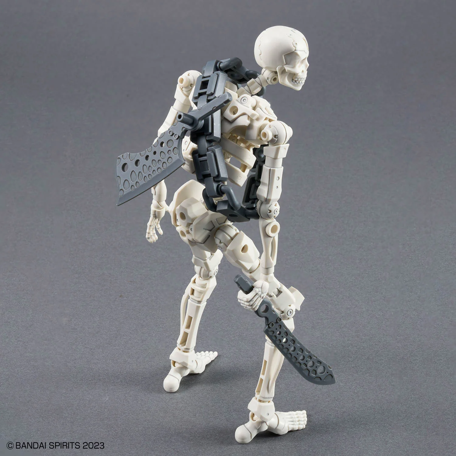 30MF Dlro Skeleton - Image 10