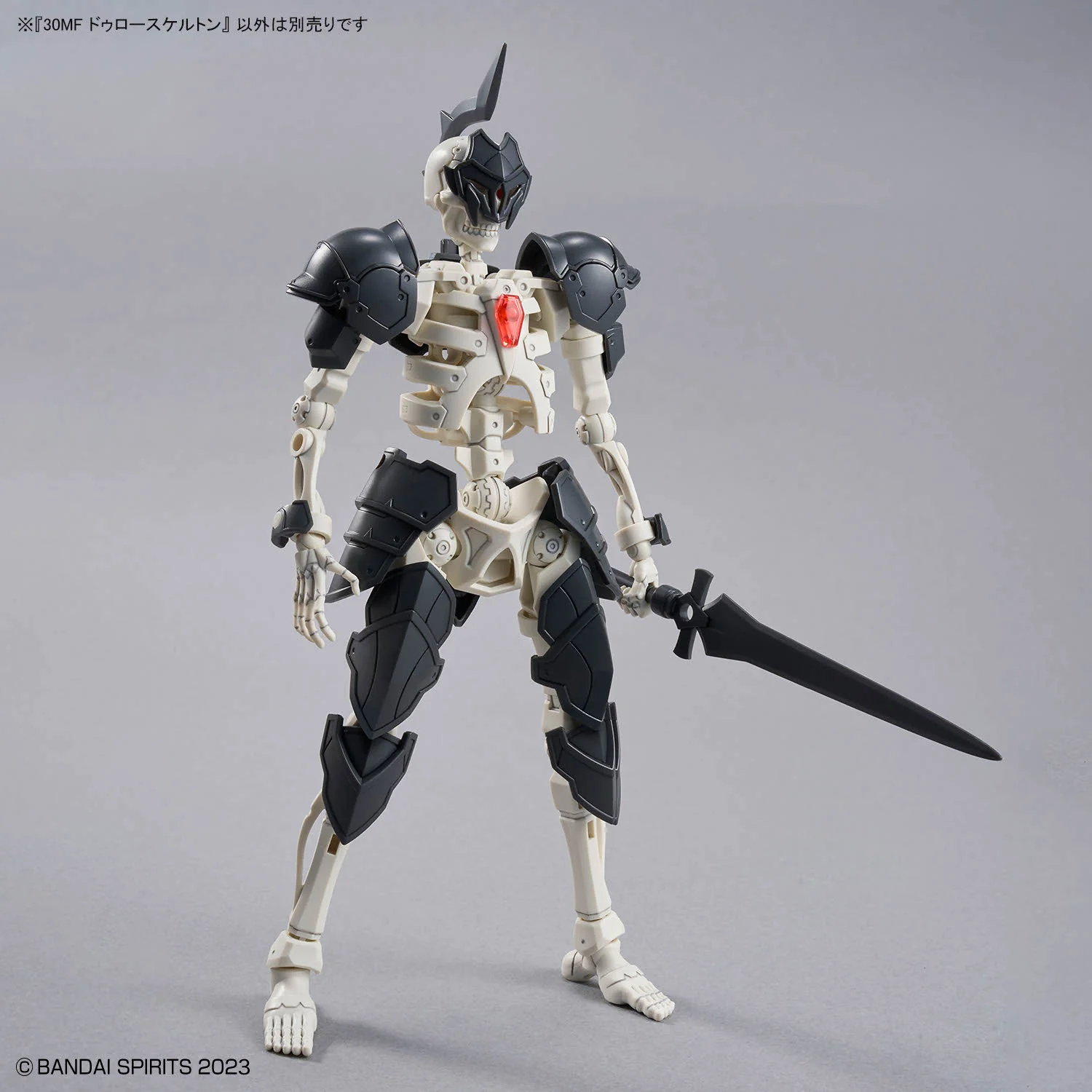 30MF Dlro Skeleton - Image 12