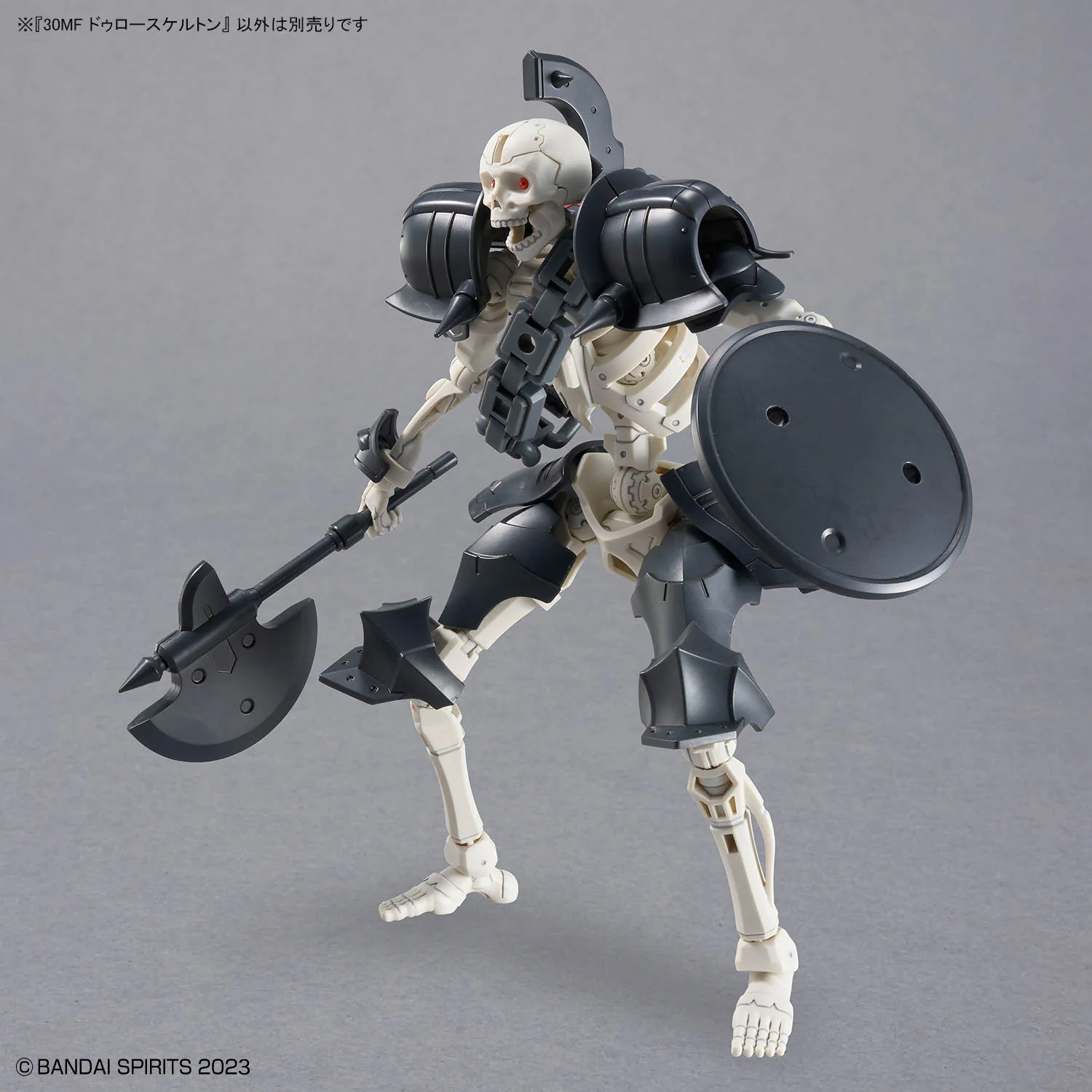 30MF Dlro Skeleton - Image 13