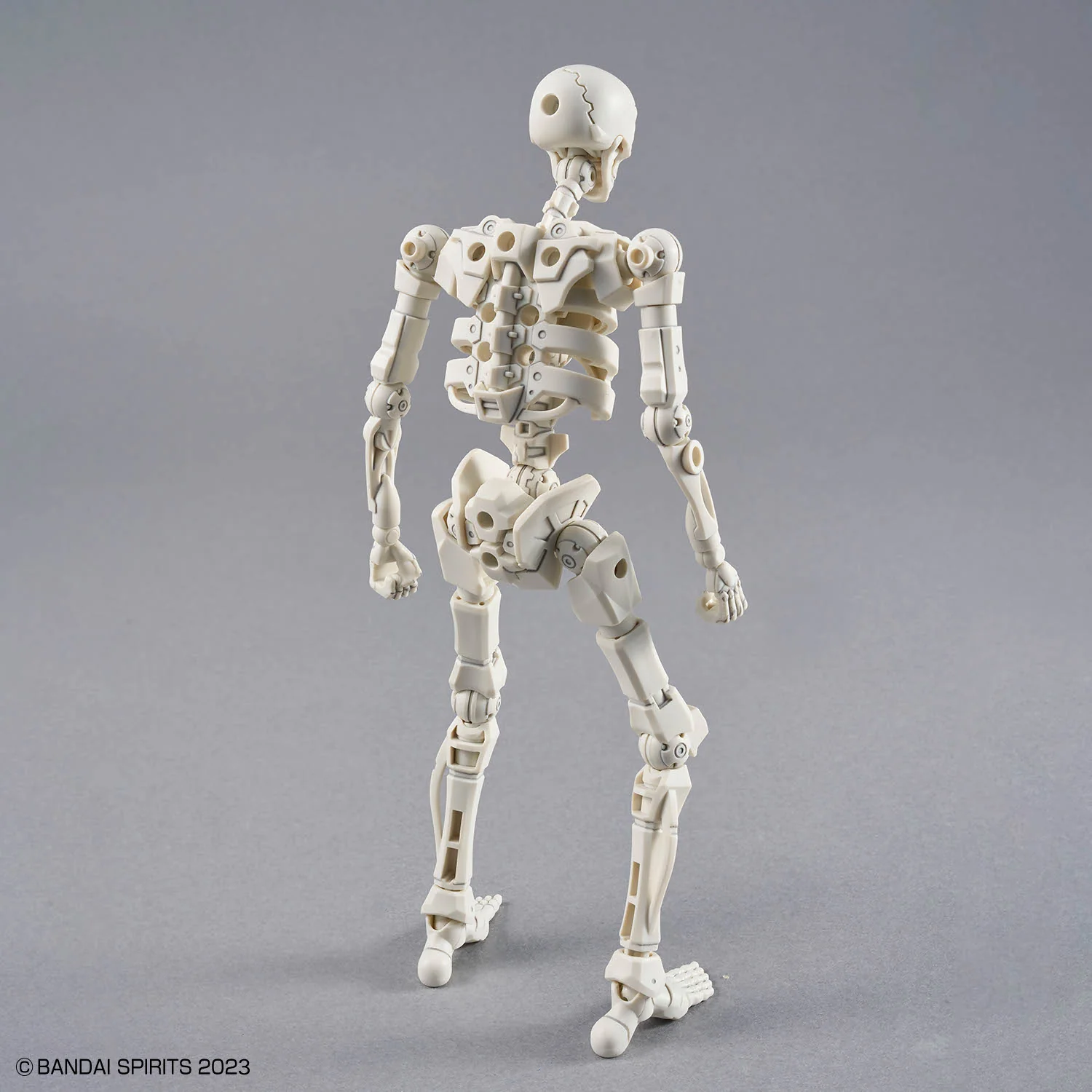 30MF Dlro Skeleton - Image 4
