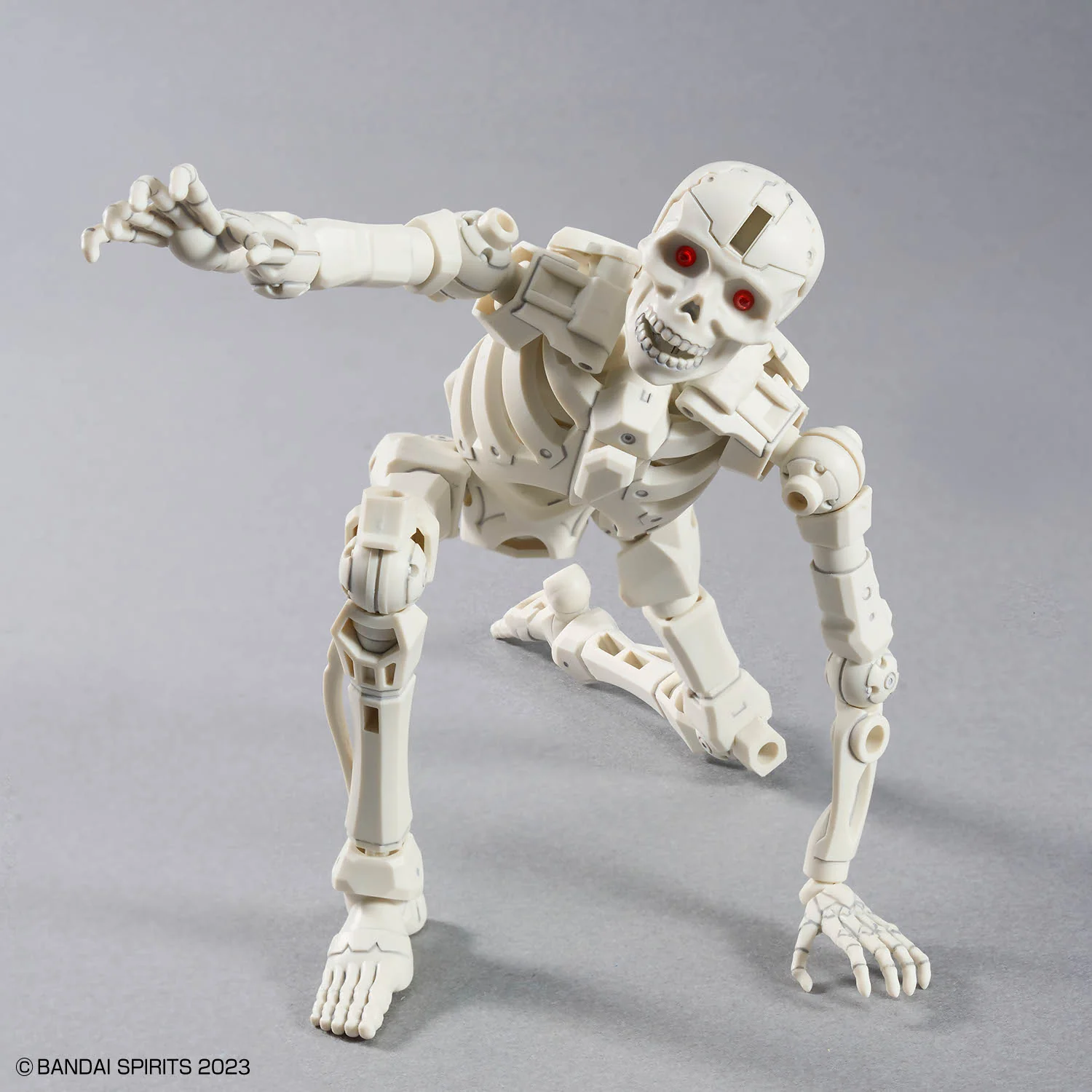 30MF Dlro Skeleton - Image 8