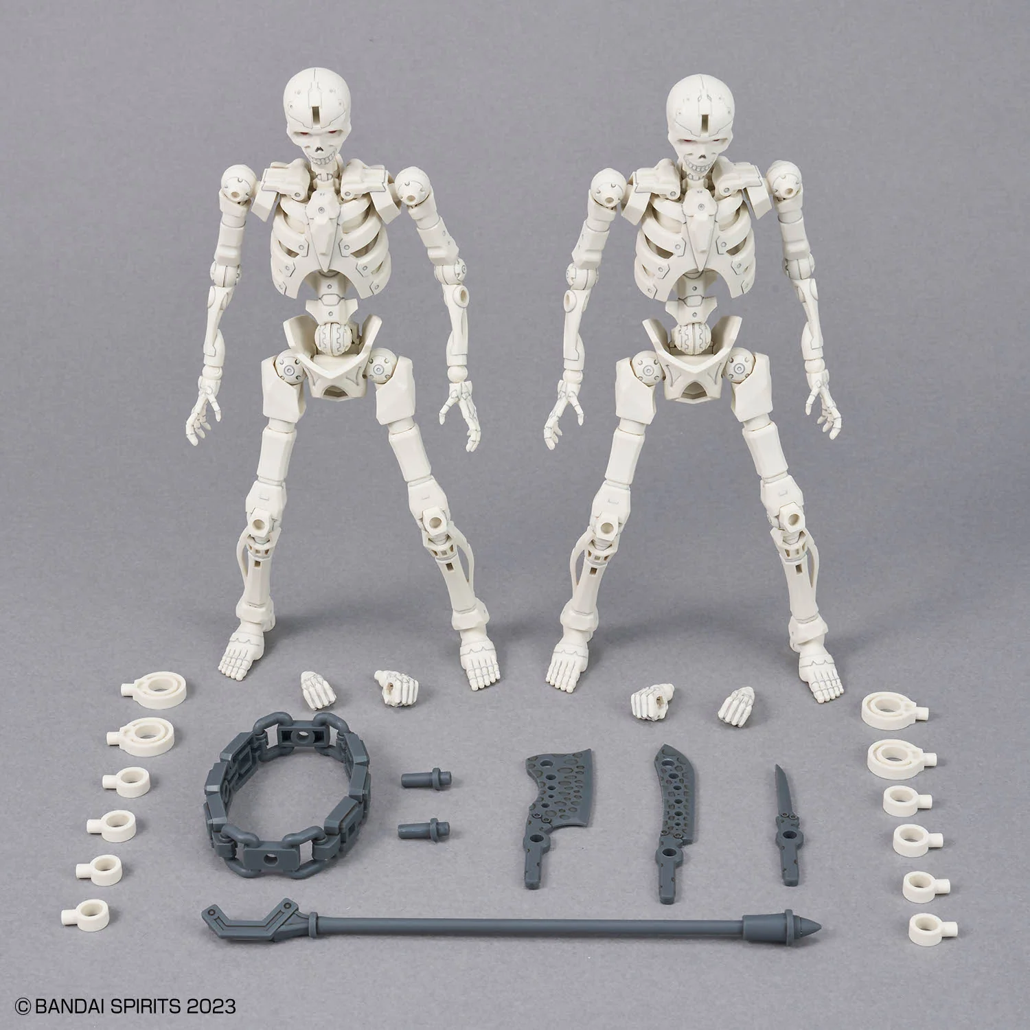 30MF Dlro Skeleton - Image 9