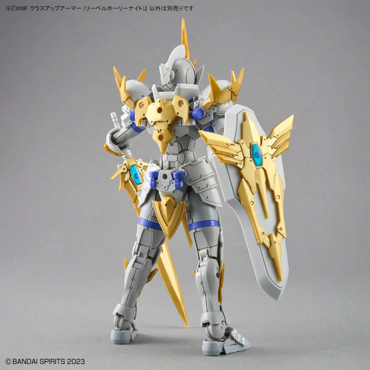 30MF Liber Holy Knight - Image 3