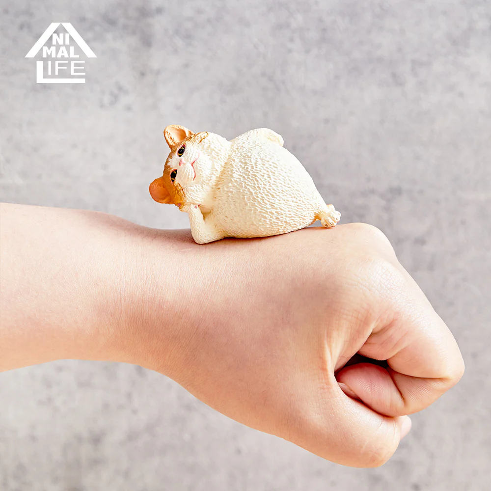 ANIMAL LIFE - Collaboration Series TOSHIO ASAKUMA × FUMEANCATS - Image 31