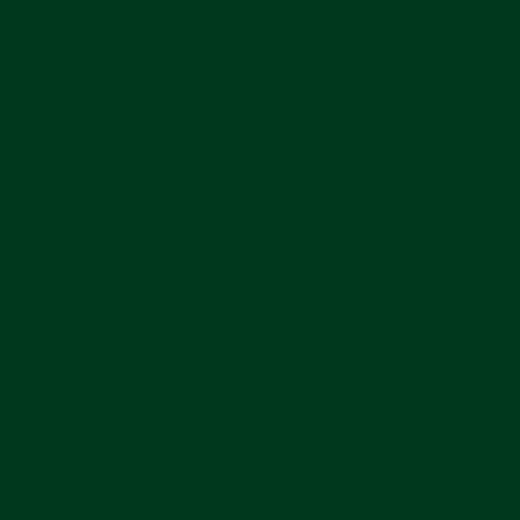 C015 Mr.Color IJN Green Nakajima (Semi Gloss / Nakajima)
