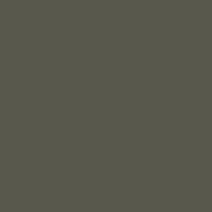 C121 Mr.Color RLM81 Brown Violet (Semi Gloss / DE Air Force)