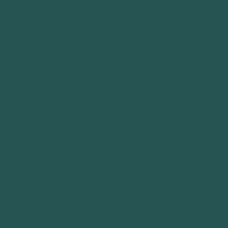 C302 Mr.Color Green FS34092 (Semi Gloss / Charcoal Lizard Camouflage)