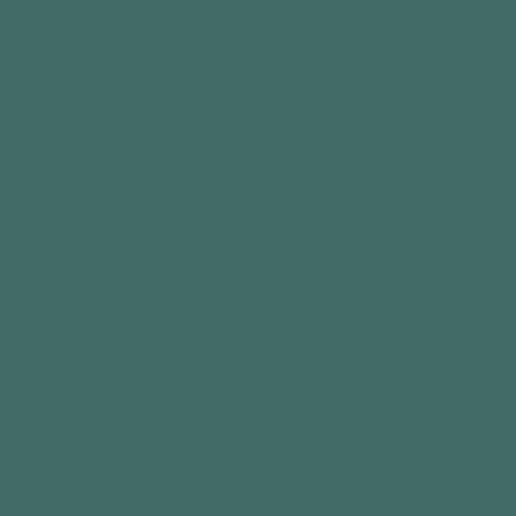 C305 Mr.Color Gray FS36118 (Semi Gloss / US Air Force)