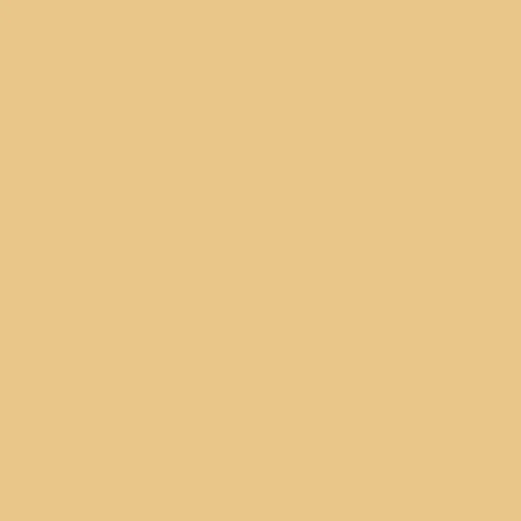 C313 Mr.Color Yellow FS33531 (Semi Gloss / IL Camouflage)