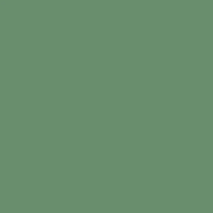C336 Mr.Color Hemp BS4800/10B21 (Semi Gloss / GB Air Force)