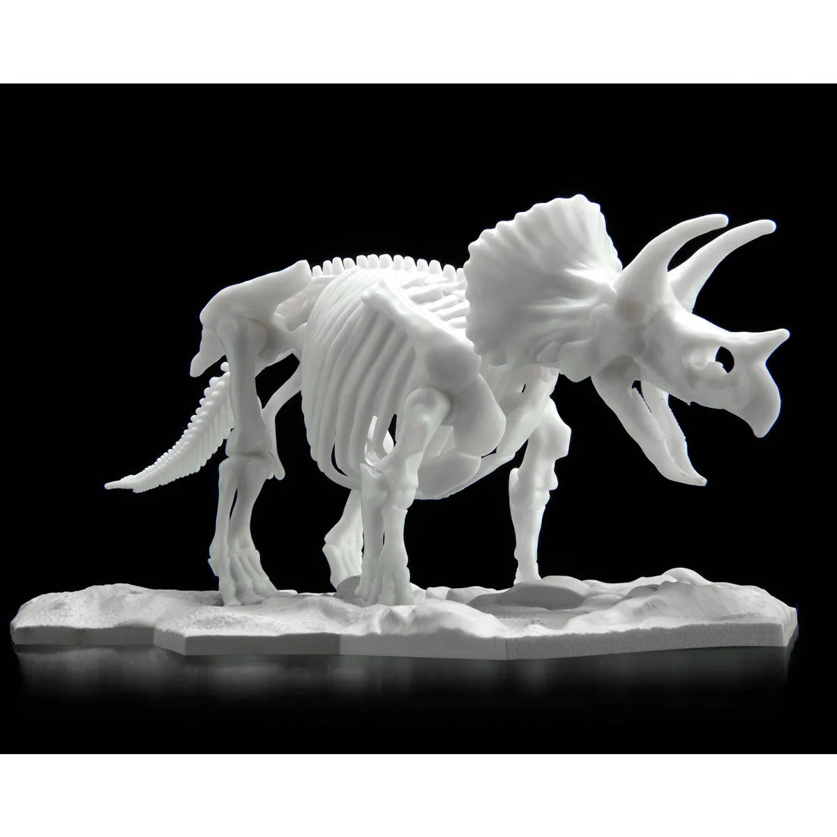 Dinosaur Model Kit Limex Skeleton Triceratops - Image 3