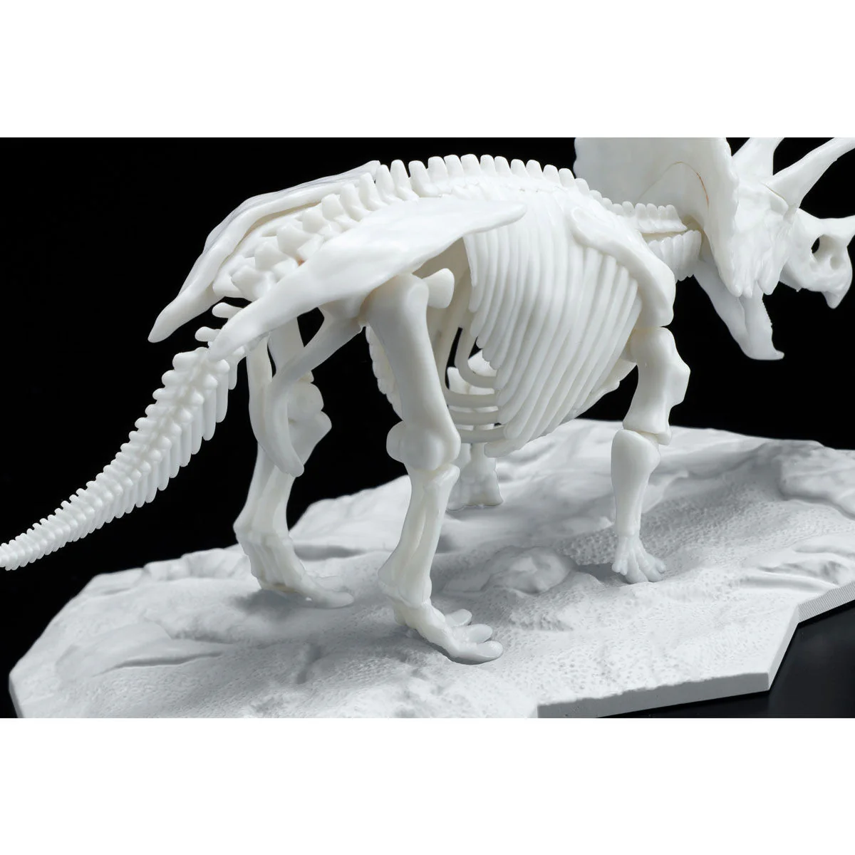 Dinosaur Model Kit Limex Skeleton Triceratops - Image 4
