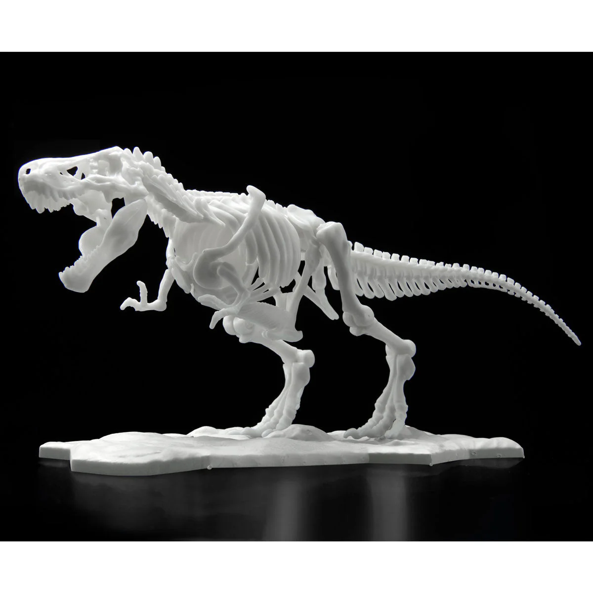 Dinosaur Model Kit Limex Skeleton Tyrannosaurus - Image 3