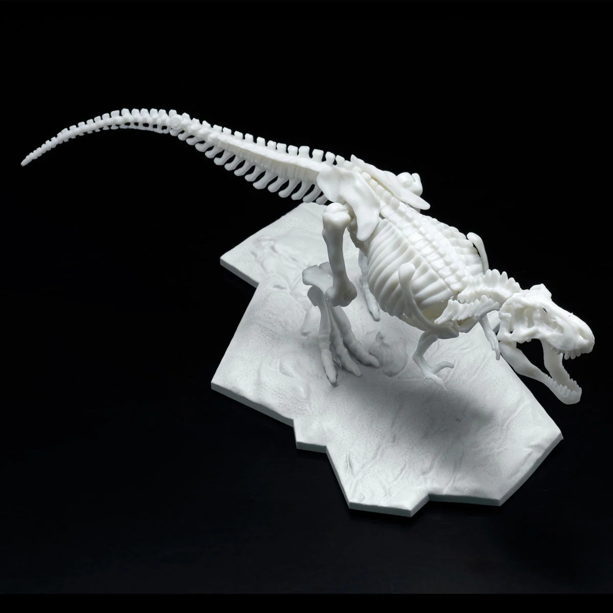 Dinosaur Model Kit Limex Skeleton Tyrannosaurus - Image 4