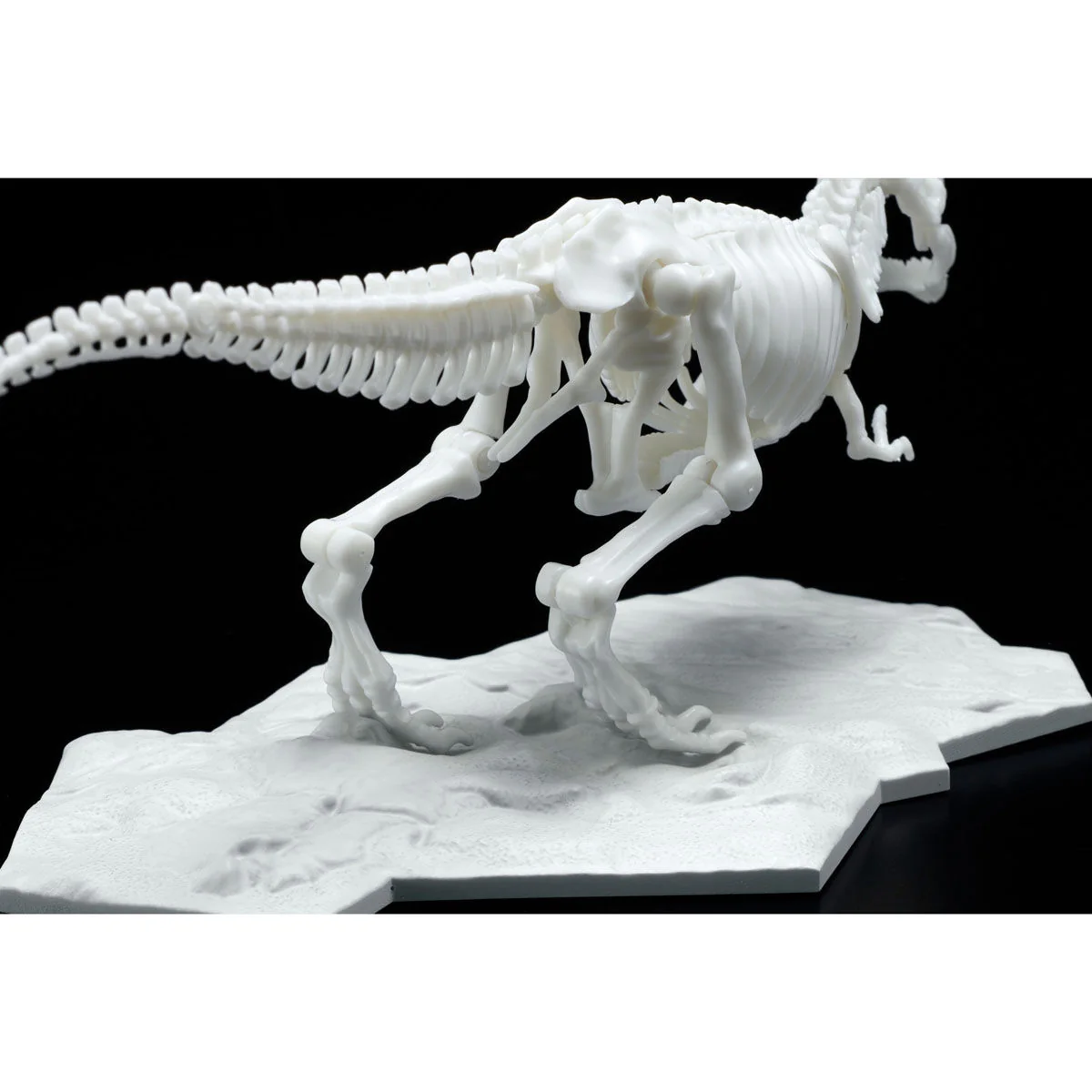 Dinosaur Model Kit Limex Skeleton Tyrannosaurus - Image 5