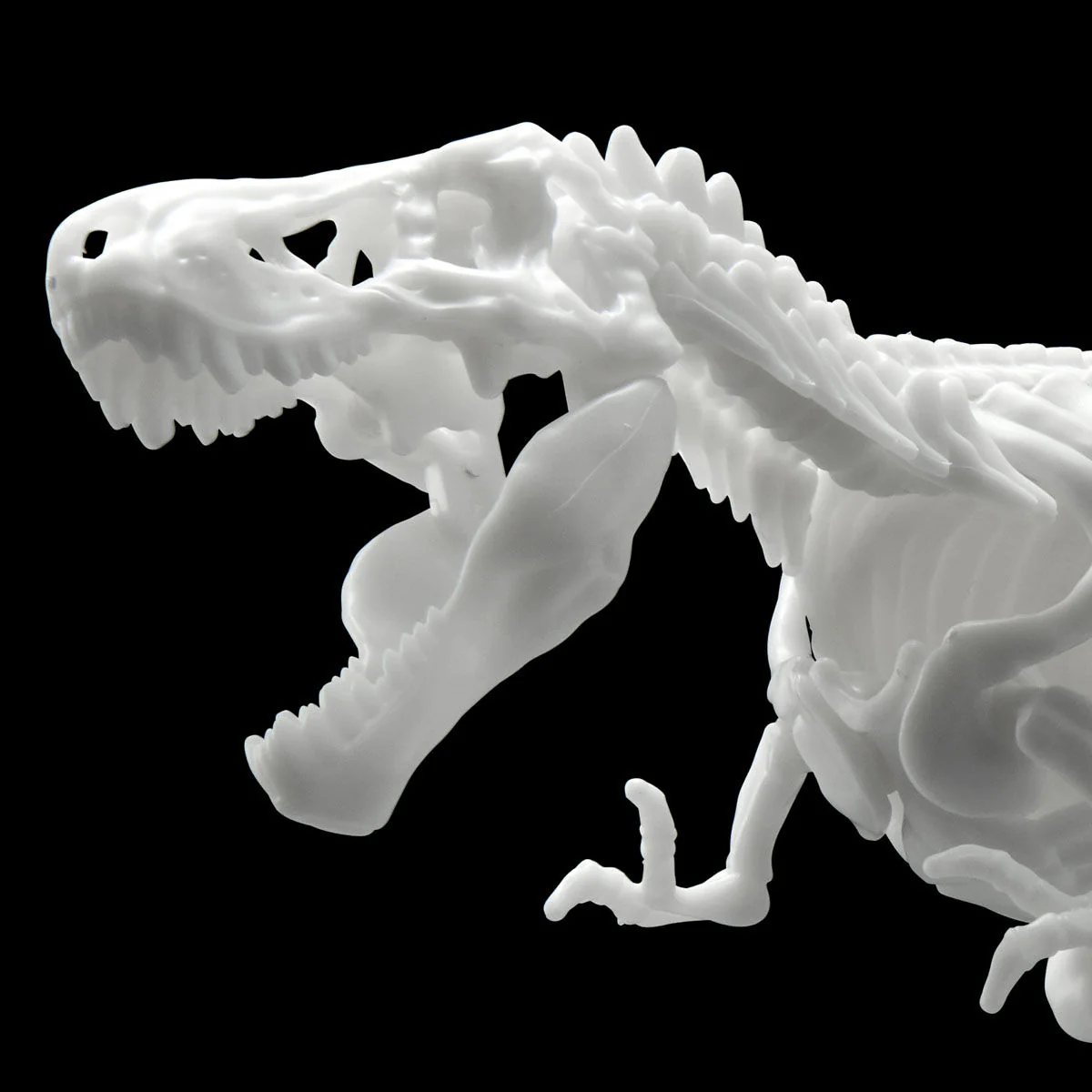 Dinosaur Model Kit Limex Skeleton Tyrannosaurus - Image 7