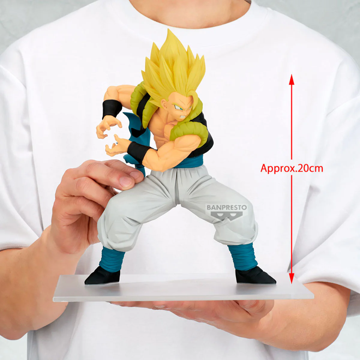 Dragon Ball Grandista: Gogeta - Image 9