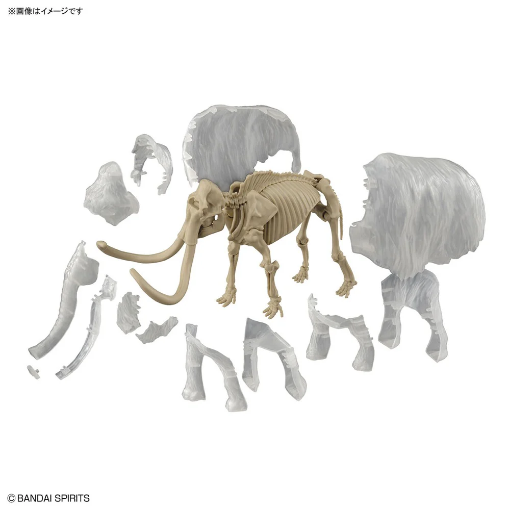 Exploring Lab Nature Mammoth - Image 12
