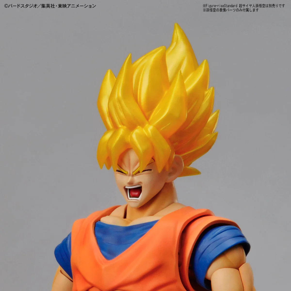 Figure-rise Standard Legendary Super Saiyan Broly (Repackage Ver.) - Image 13