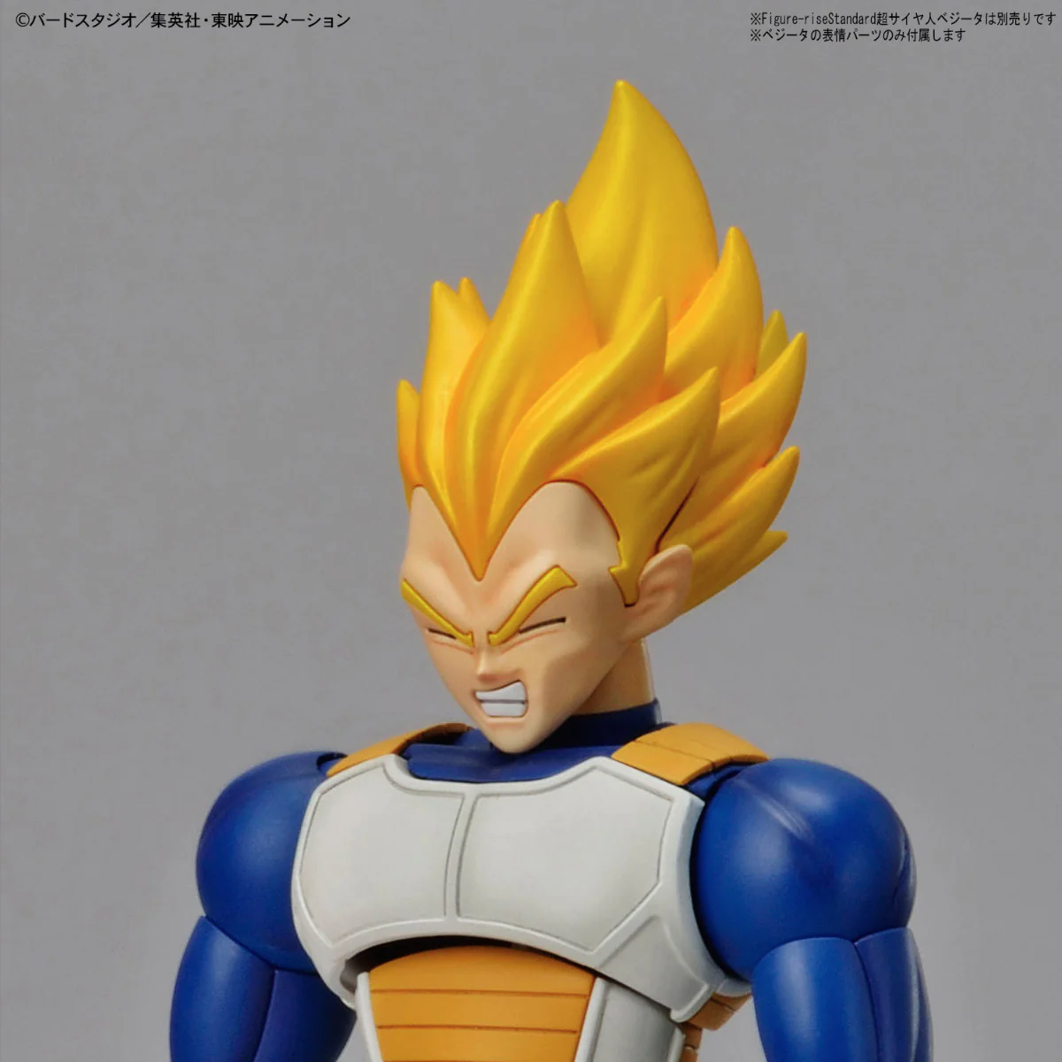 Figure-rise Standard Legendary Super Saiyan Broly (Repackage Ver.) - Image 14