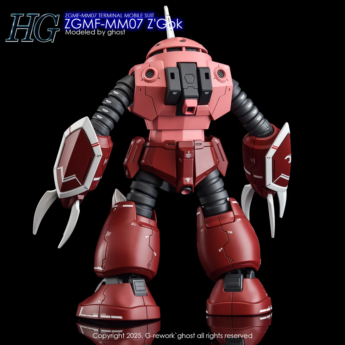 G-REWORK Decal H260 HG SEED Z'Gok (Seed Freedom Ver.) - Image 6