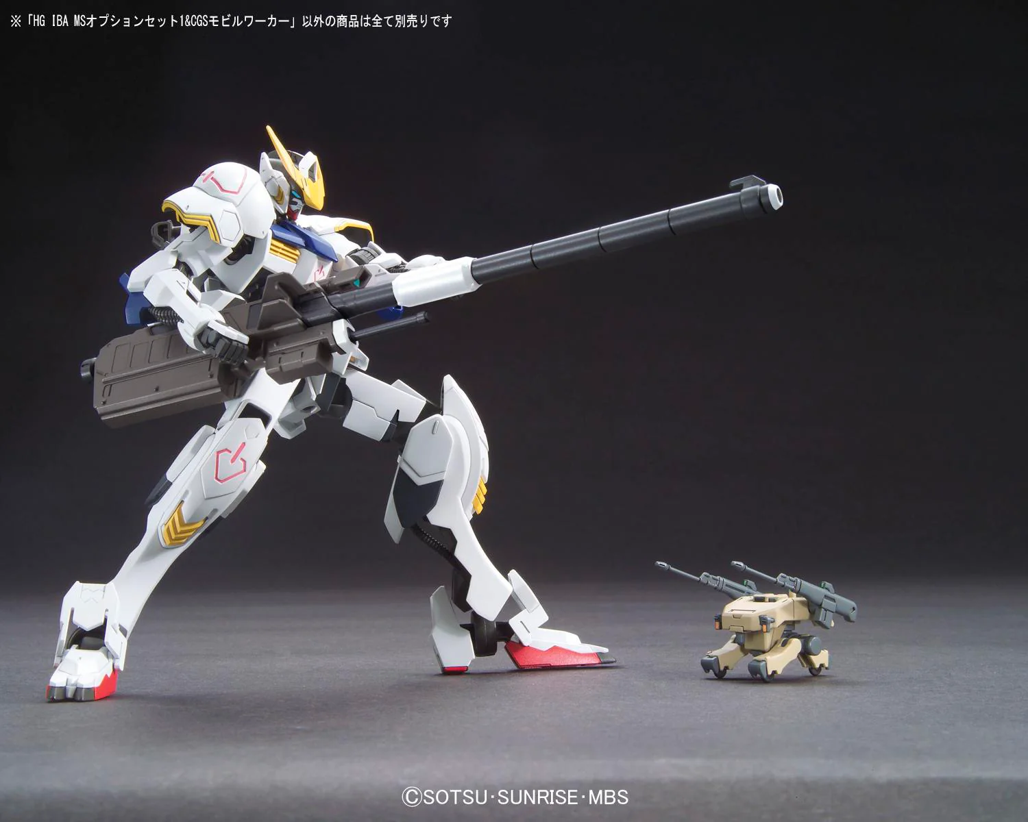 HG IBA MS Option Set 1 & CGS Mobile Worker - Image 4
