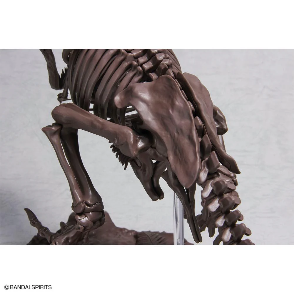 1/32 Imaginary Skeleton Tyrannosaurus - Image 8