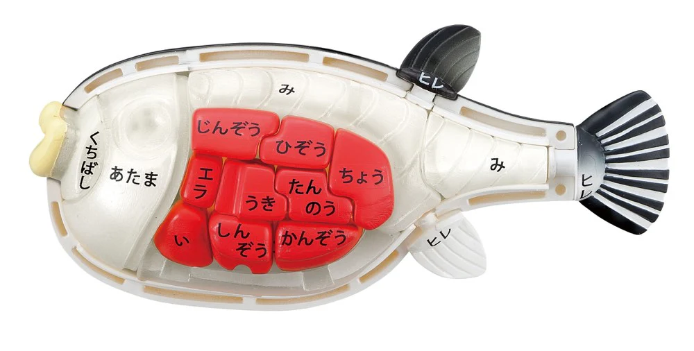 KAITAI Puzzle Blowfish - Image 11