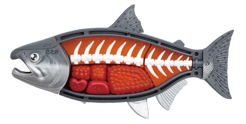 KAITAI Puzzle King Salmon - Image 6