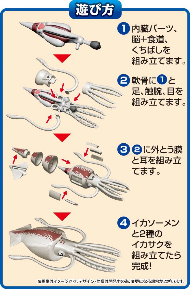 KAITAI Puzzle Squid - Image 6