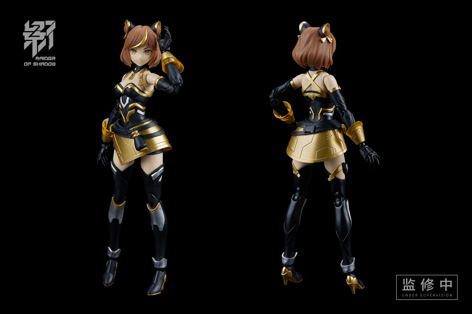MS General Raider of Shadow Series RS-03 Tiger - Image 3